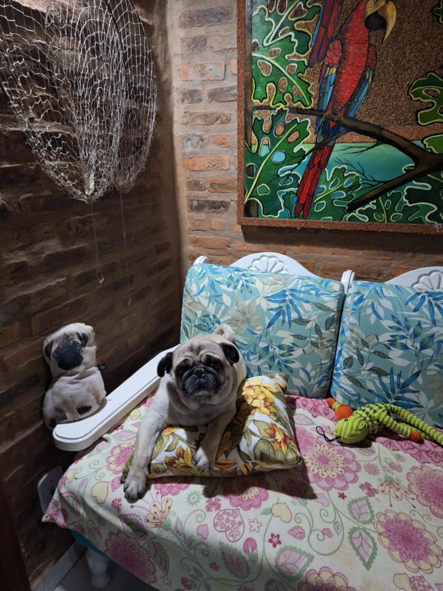 Casas Lindas No Paraiso! Costa Dourada エクステリア 写真
