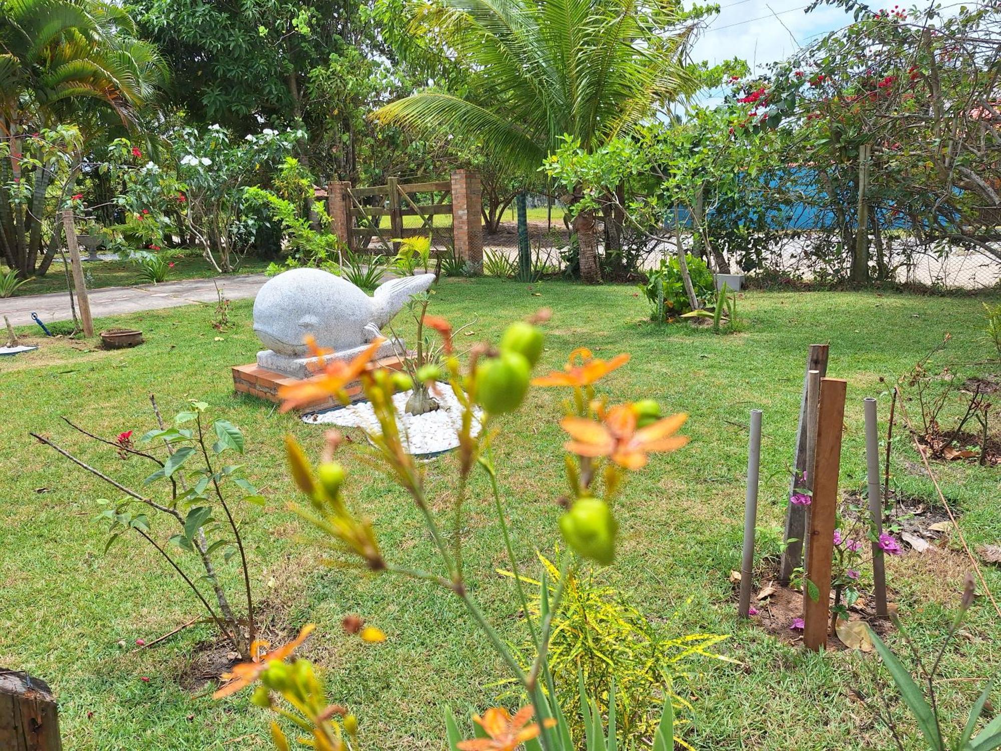 Casas Lindas No Paraiso! Costa Dourada エクステリア 写真